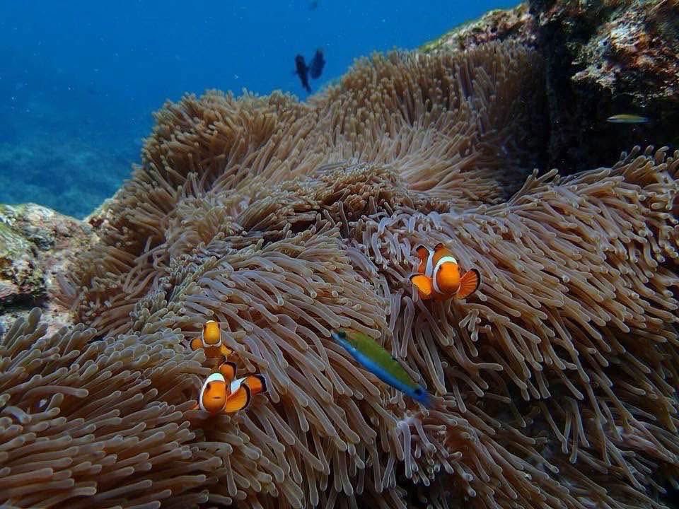 MrNotPhuket's tweet photo. https://t.co/27m5RJ9g7m https://t.co/Lt0kqlVpSo