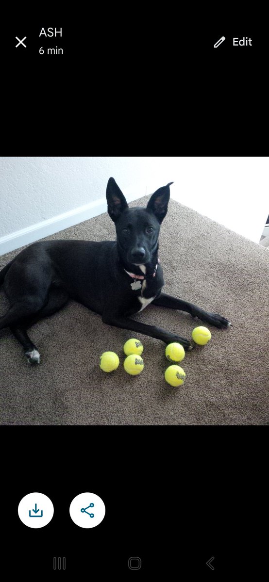 Matt Gollnick tweet media