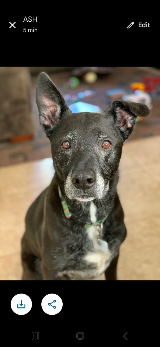 Matt Gollnick tweet media