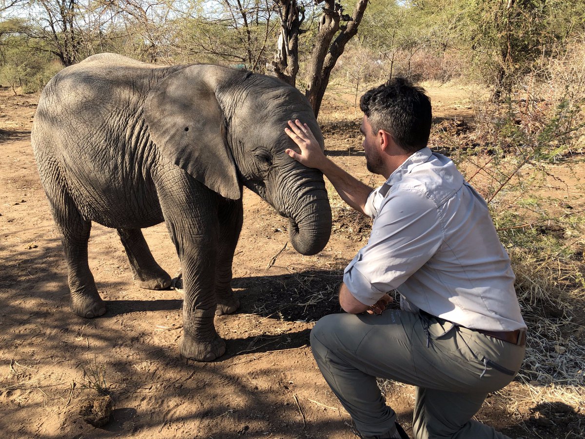 BBC Earth Canada tweet media
