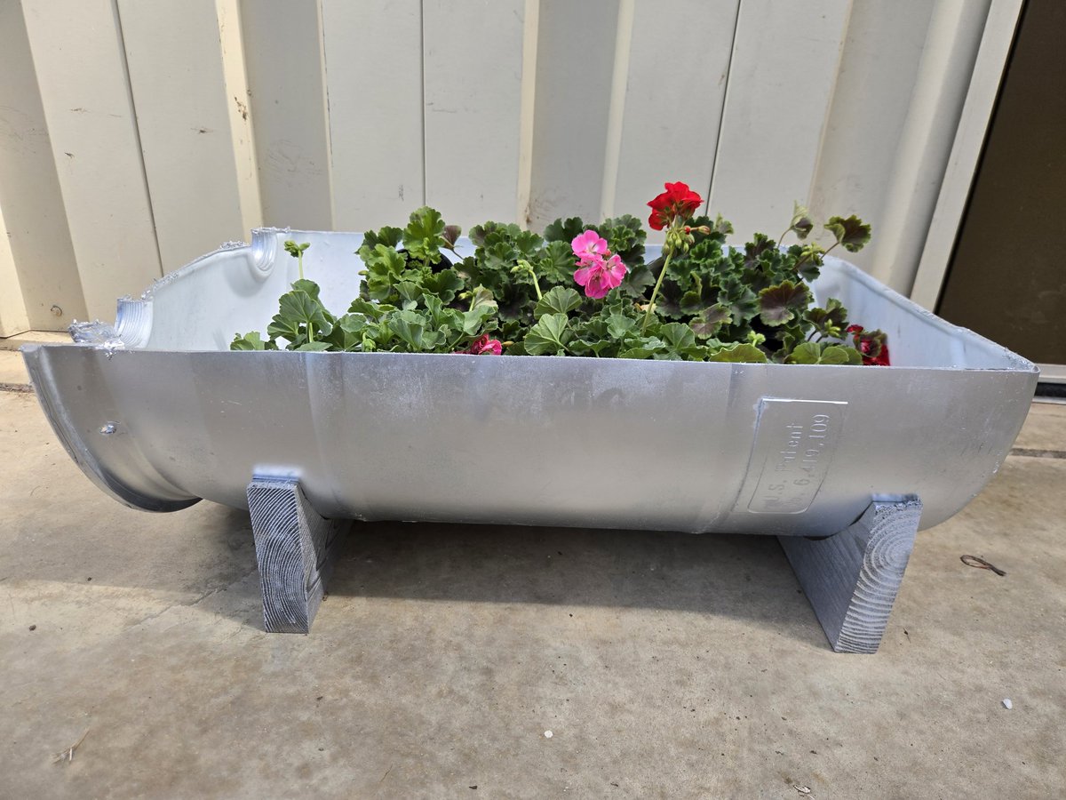 Last week of our plant sale!