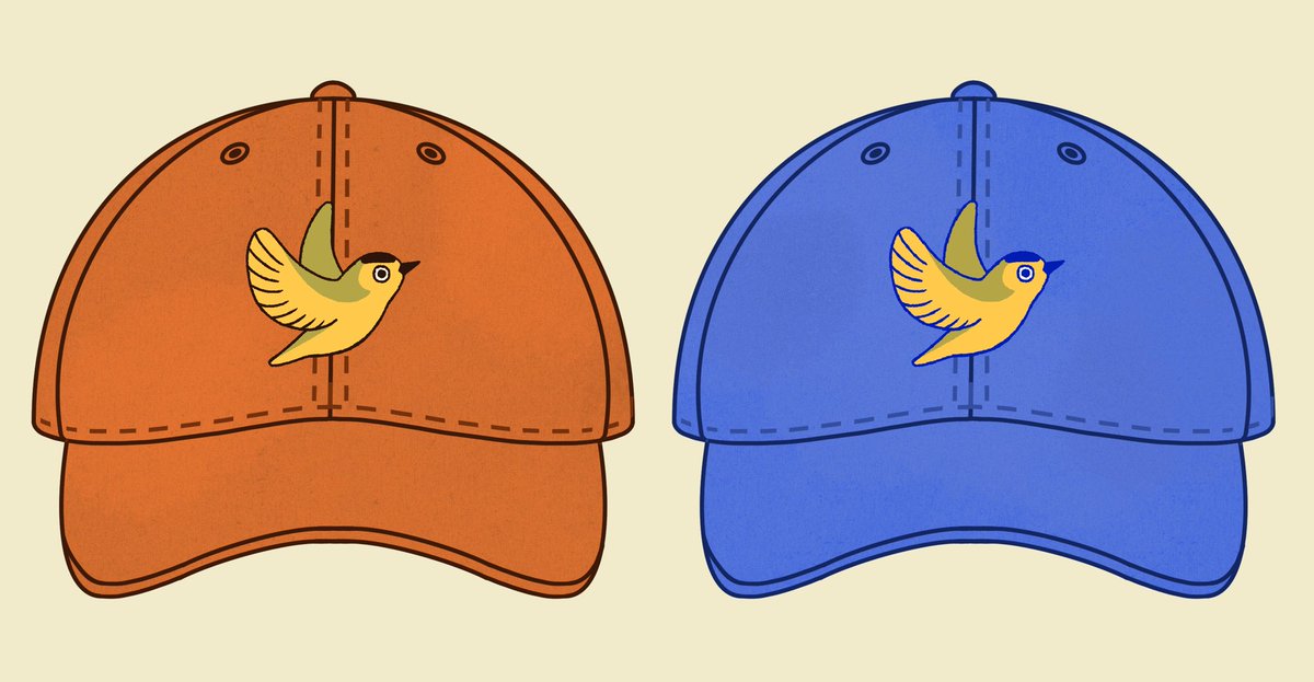 Bird 🌲🦆 tweet media