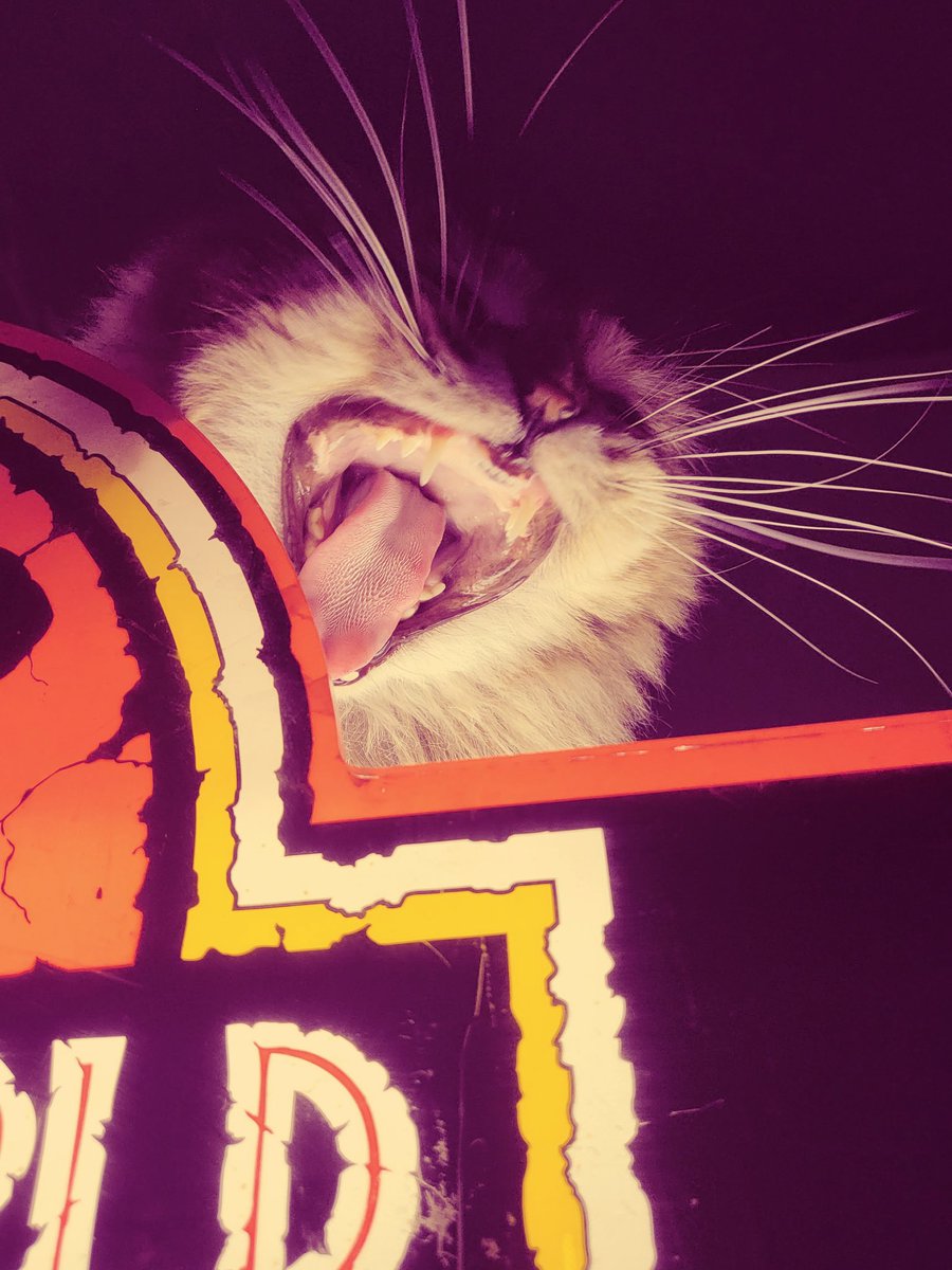 Lady Verinder can't wait for y'all to come play in the arcade this weekend! She's been practicing her best dinosaur faces. 🦖🔫👾