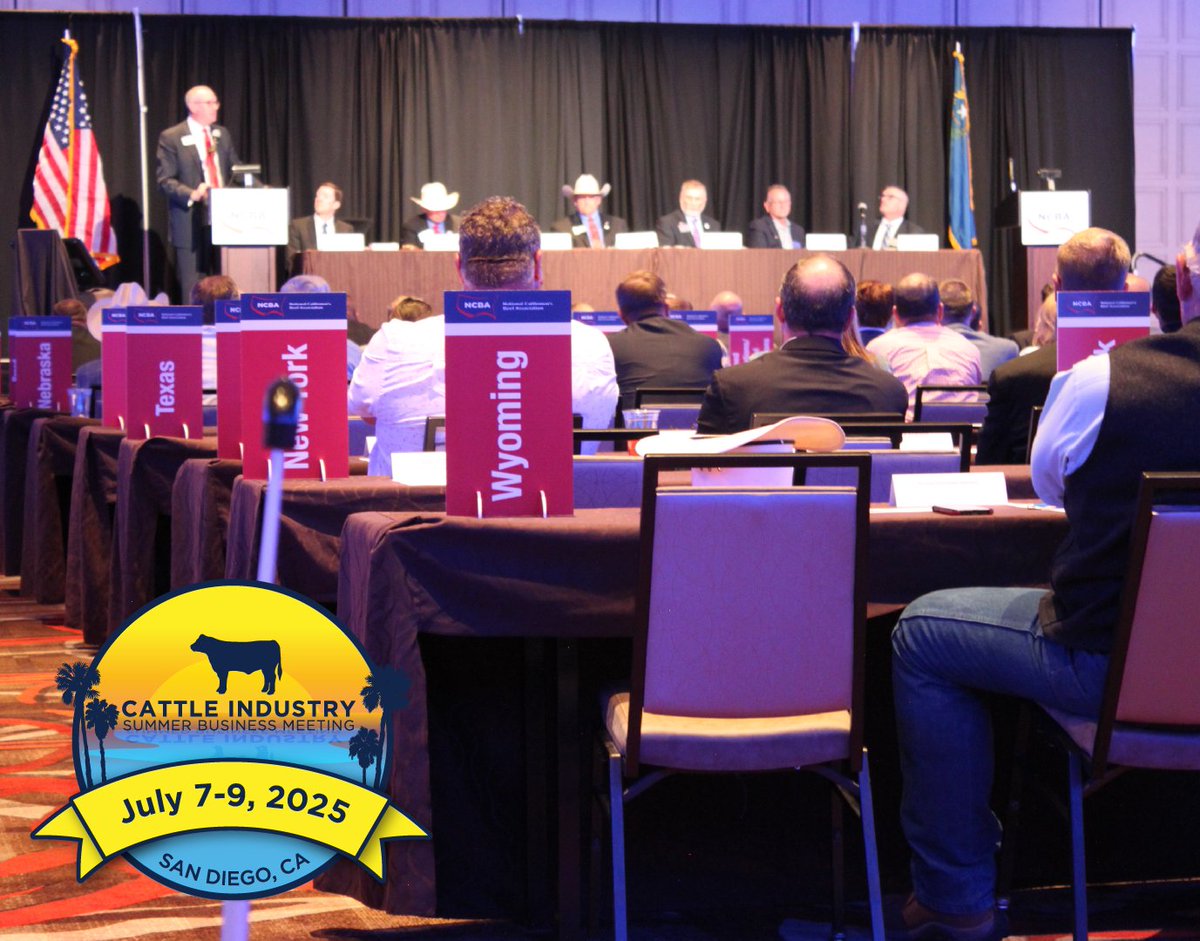 Summer Business Meeting will be held in beautiful San Diego from July 7-9 ☀️

Participating members will have the opportunity to engage in productive discussions in NCBA Policy committees and subcommittees, as well as joint committees and subcommittees. Discussions will focus on