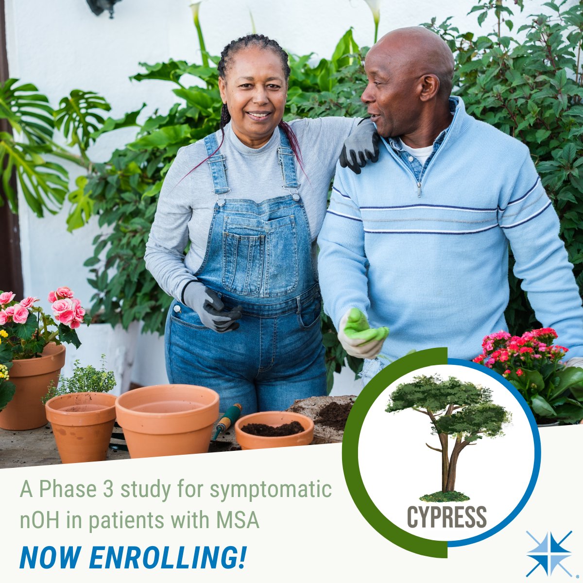 TheravanceBio's tweet photo. Spring into action this May! Symptomatic nOH affects approximately 70-90% of those with MSA. If you/someone you know diagnosed with MSA experience symptoms of nOH, you may quality to participate in our actively recruiting Phase 3 CYPRESS Study. Learn more: https://t.co/HiyqPN80Tl https://t.co/2y8qpcRFqq