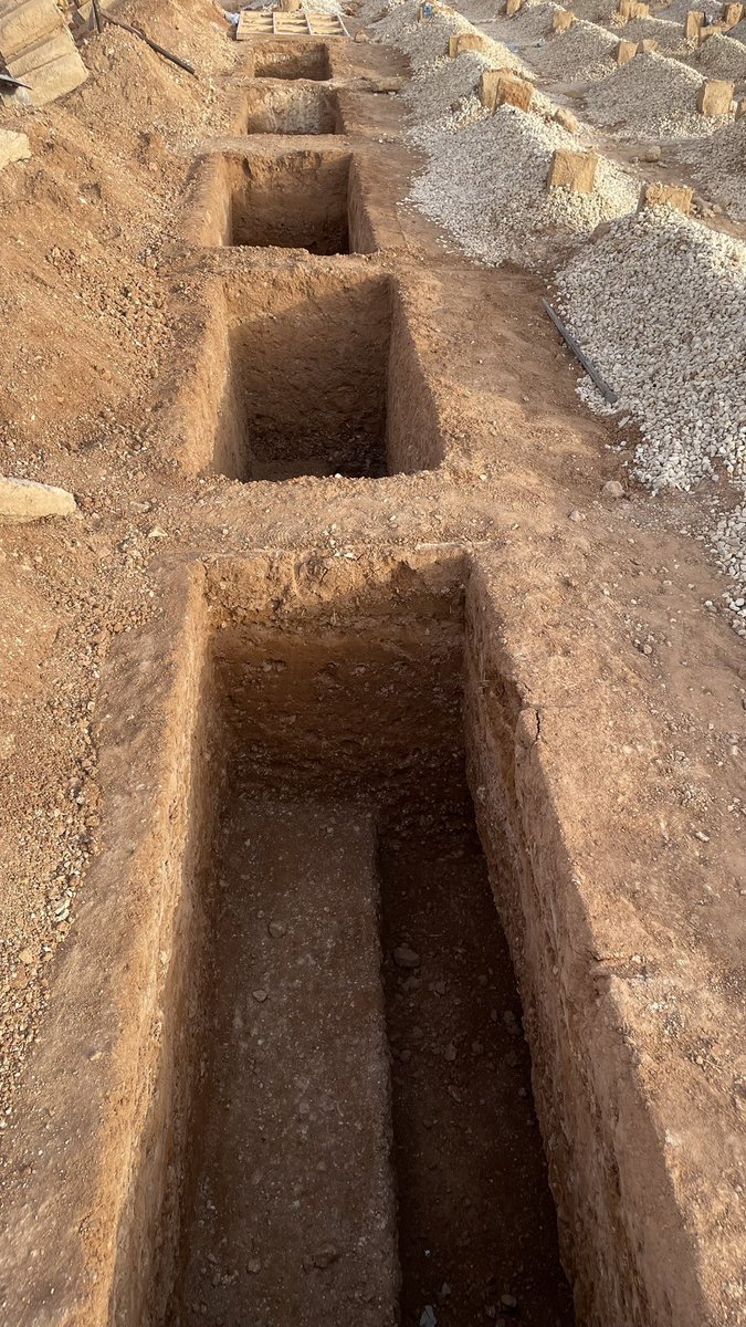 "فجأة! ستجد نفسك خارج كل هذه الصراعات والمعارك والتيارات والأطماع والآمال والأحلام والأعداء والأصدقاء، سيقذف بك الموت وحيدًا معك عملك فحسب، فاعمل لذلك اليوم"