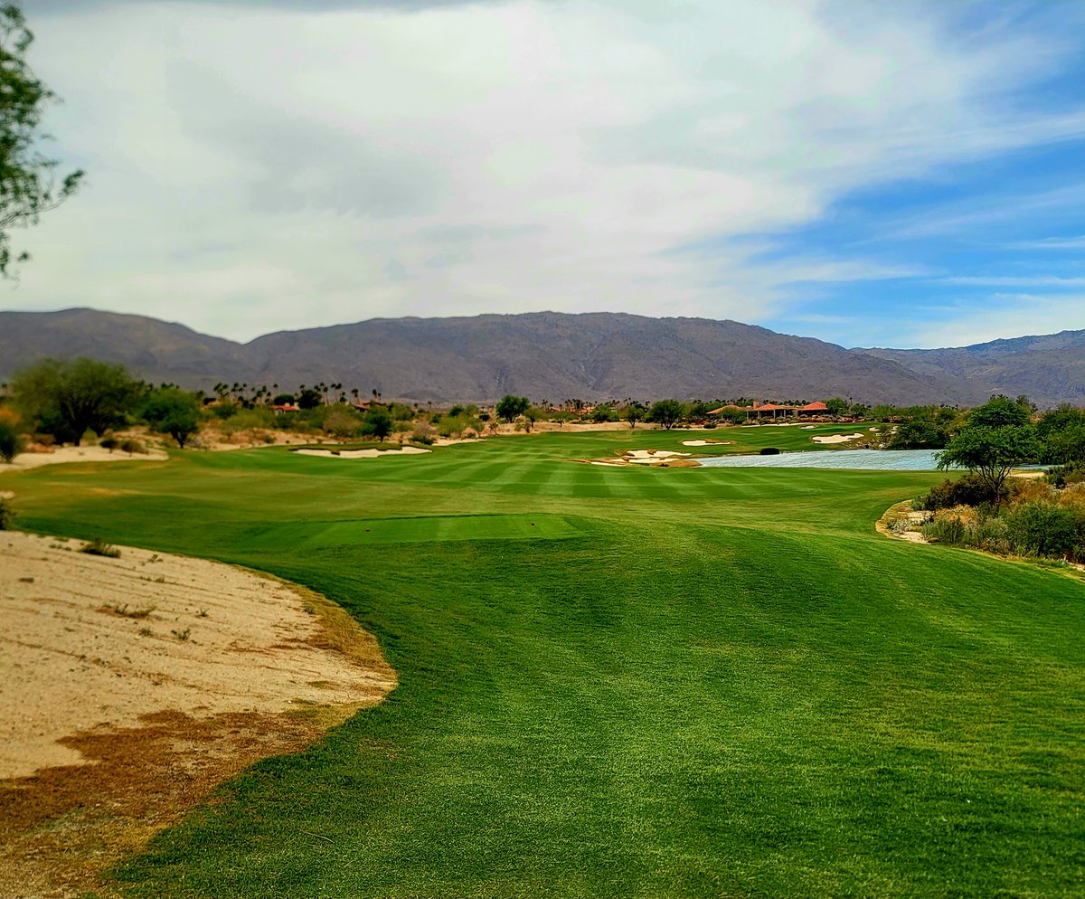 #tiftuf stripes! Nonoverseed Tiftuf at Rams Hill GC in Borrego Springs.  First year of nonoverseed was a huge success.