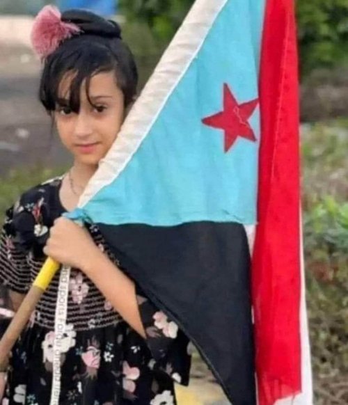 يونس الهلالي tweet media