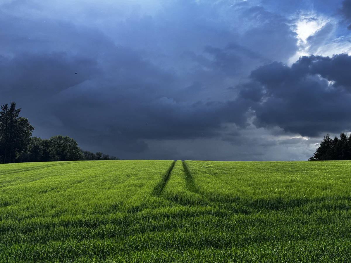 quantockenviro's tweet image. Storm clouds over the #Quantocks