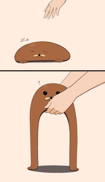 ozdogs1's tweet image. #gondola is still my favourite ETH meme.

@GondolaCTO