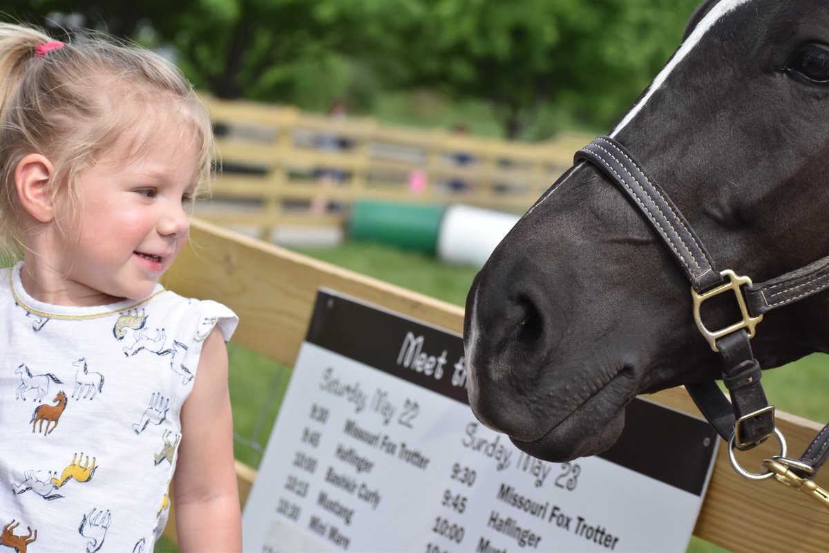 Big eyes, soft noses and instant connections… it's all part of the magic of HorseFest, presented by <a href="/KGCDJRMentor/">Ken Ganley CDJR Mentor</a>! ✨ Gallop over to Lake Metroparks Farmpark this Saturday and Sunday (May 17–18) to experience:

🐴 Riding and jumping demonstrations
🛢️ Barrel racing and chariot