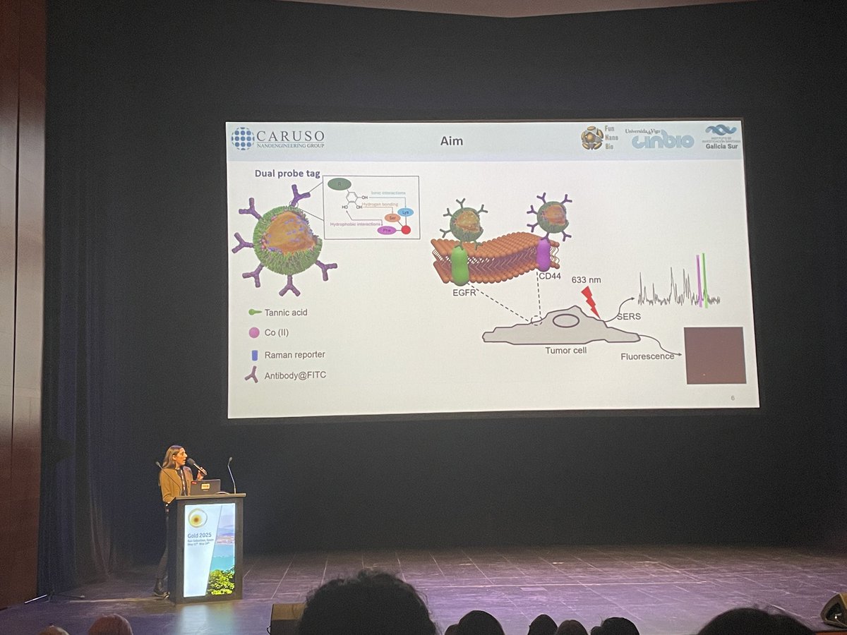 FunNanoBio's tweet image. Nice talk of @Laraglezc about dual mode detection based on plasmonic MPNs at Gold2025. 🧫👩🏽🔬