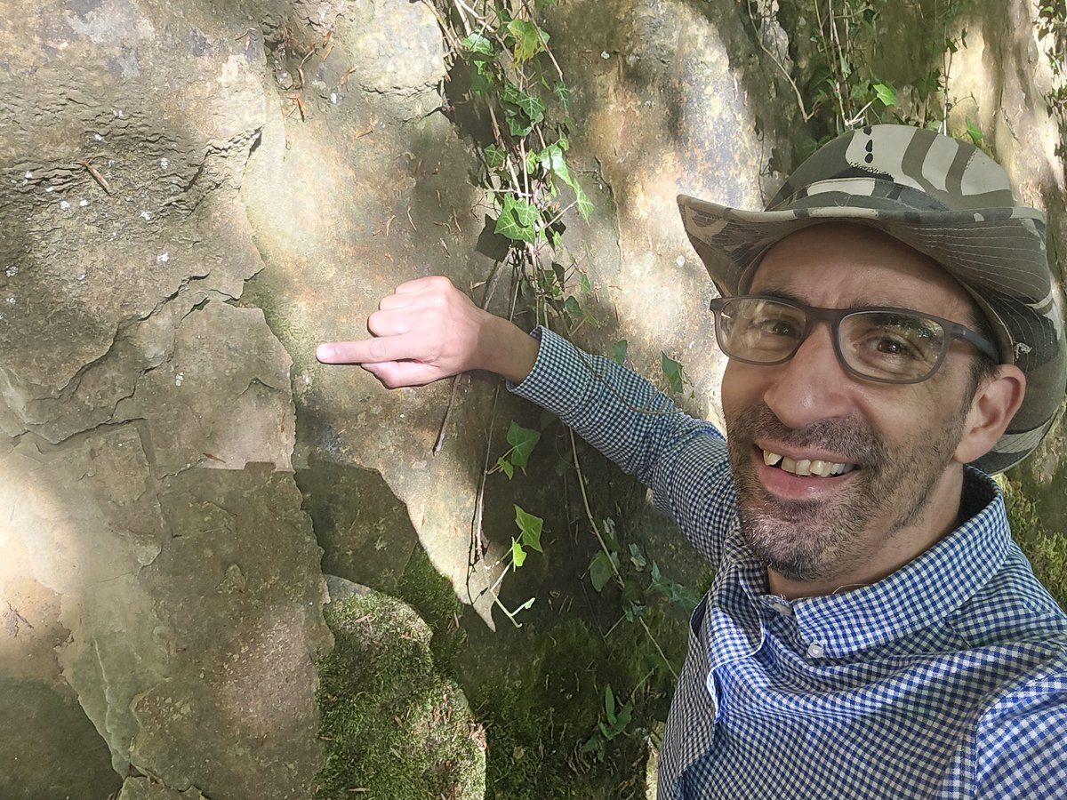 Jamie warren (@jamiewa50042387) on Twitter photo Slender Stubble-moss (Gyroweisia tenuis) growing on a shaded rock faces in woodland adjacent to Old London road in Wotton-Under-Edge last Sunday <a href="/BBSbryology/">BBSBryology</a> Slender Stubble-moss (Gyroweisia tenuis) growing on a shaded rock faces in woodland adjacent to Old London road in Wotton-Under-Edge last Sunday <a href="/BBSbryology/">BBSBryology</a>