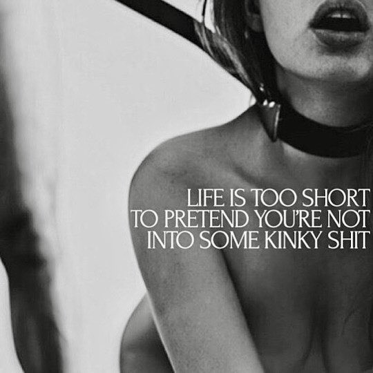 vxn_lifestyle's tweet photo. https://t.co/pAo4xX0ARW
