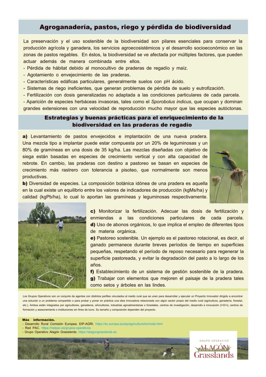La #biodiversidad en praderas se refiere a la variedad de especies de plantas, animales, hongos y microorganismos que habitan en los ecosistemas de pastizales, así como las interacciones entre ellos y con su entorno. 📢📢 Ya tenemos nuevo #FactSheet 👉👉