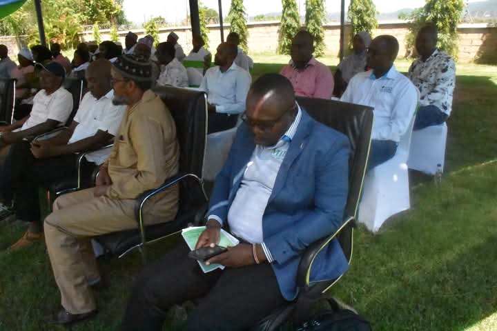 Dadhe Boru tweet media