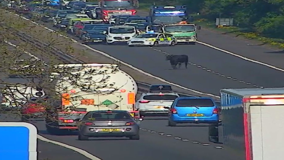 Traffic Scotland tweet media