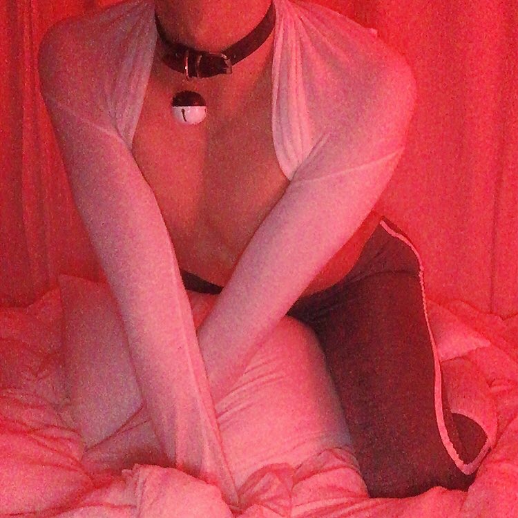 다마스 (@damasu777) on Twitter photo 