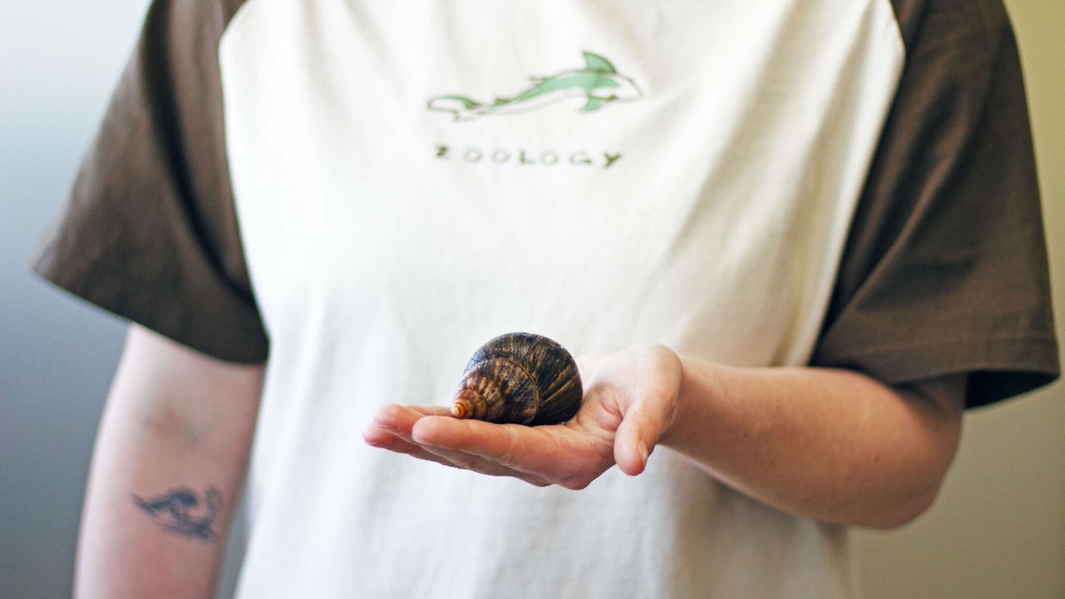 #UofG students in ZOO*4170 are leading their own hands-on research projects, from testing cockroach heart rates with 3D-printed sensors to exploring the antibacterial properties of snail slime.

Learn more: uoguel.ph/lrcf9