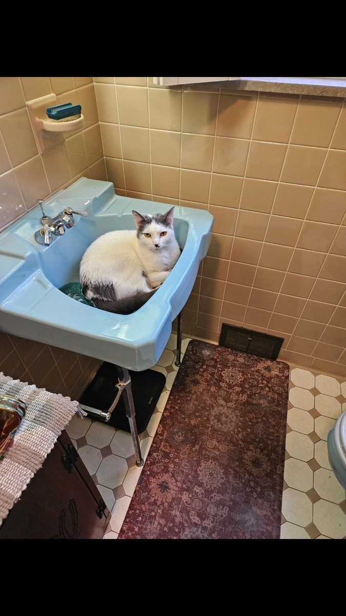 If I fits! I sits! LOL!