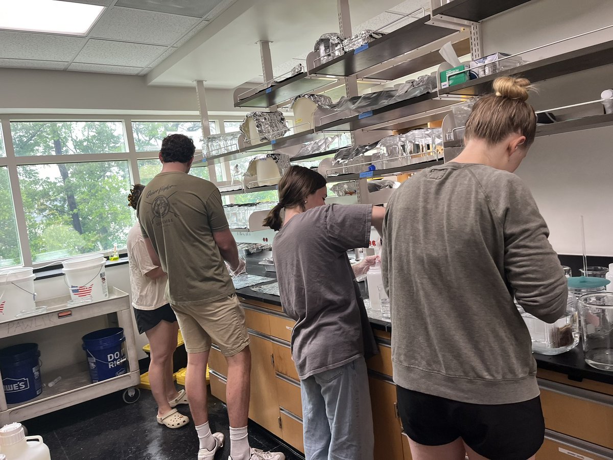 Wendy_Strangman tweet media