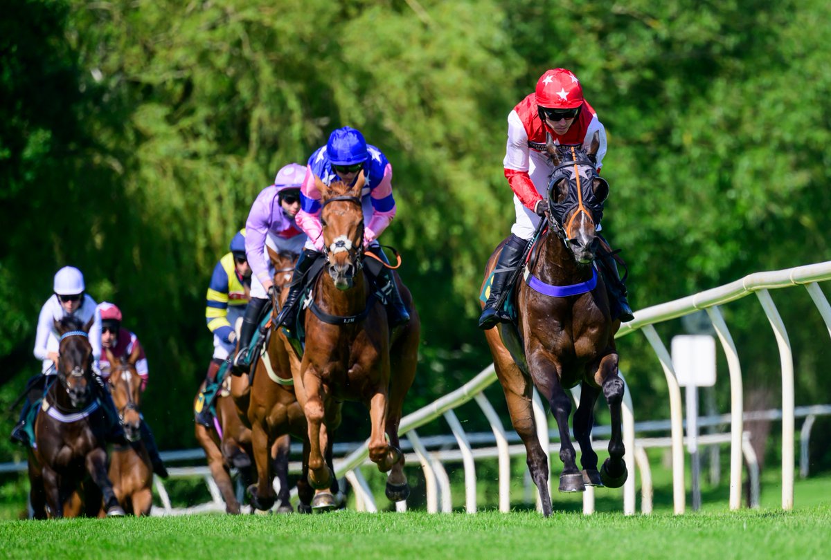 Can you believe we have our end of season Payne Crop Nutrition Ladies Day just around the corner - Sunday 1 June? A day of glamour, style awards, food, drink, music and thrilling racing - fingers crossed for 🌞. Buy your tickets online and save - fakenhamracecourse.co.uk