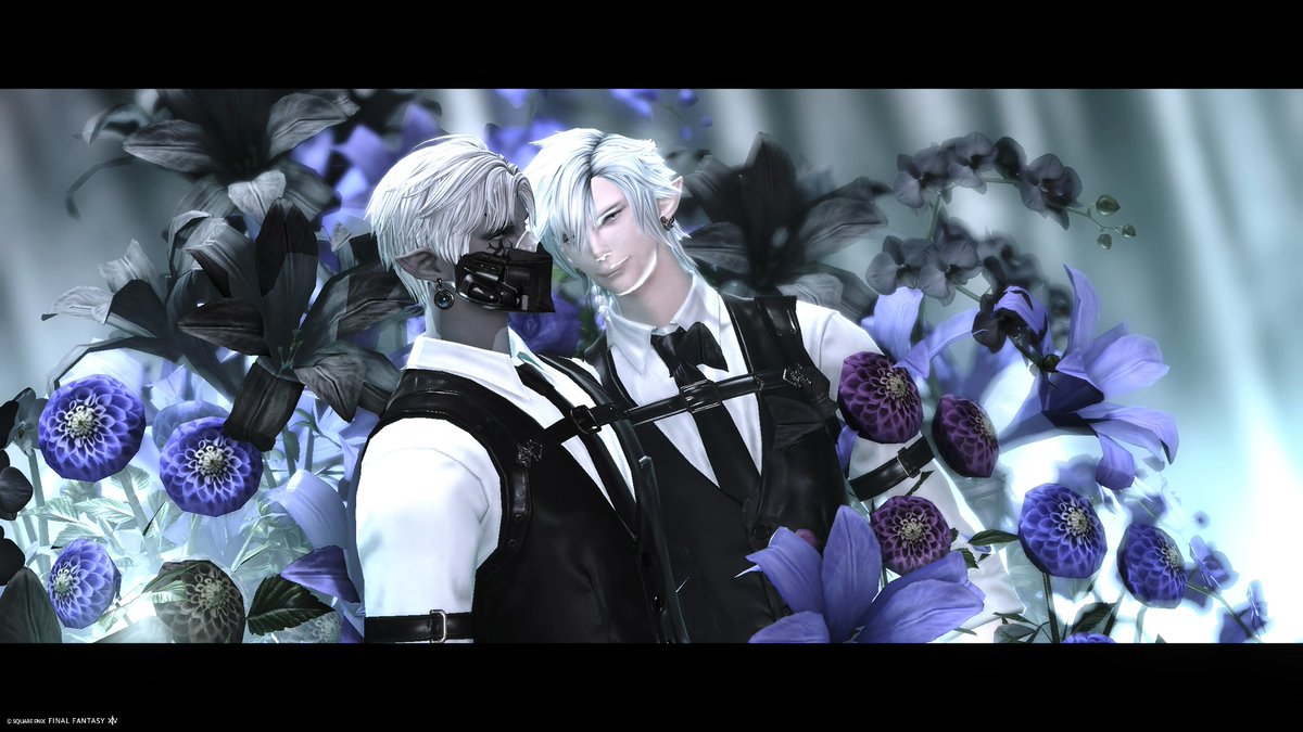 Kage_Ha_FF14's tweet photo. ( ¯꒳¯ )ᐝ ɢᵒᵒᵈ ɴⁱᵍht🌙.˖
#Studio_ArcL https://t.co/lsWWkz3f2y