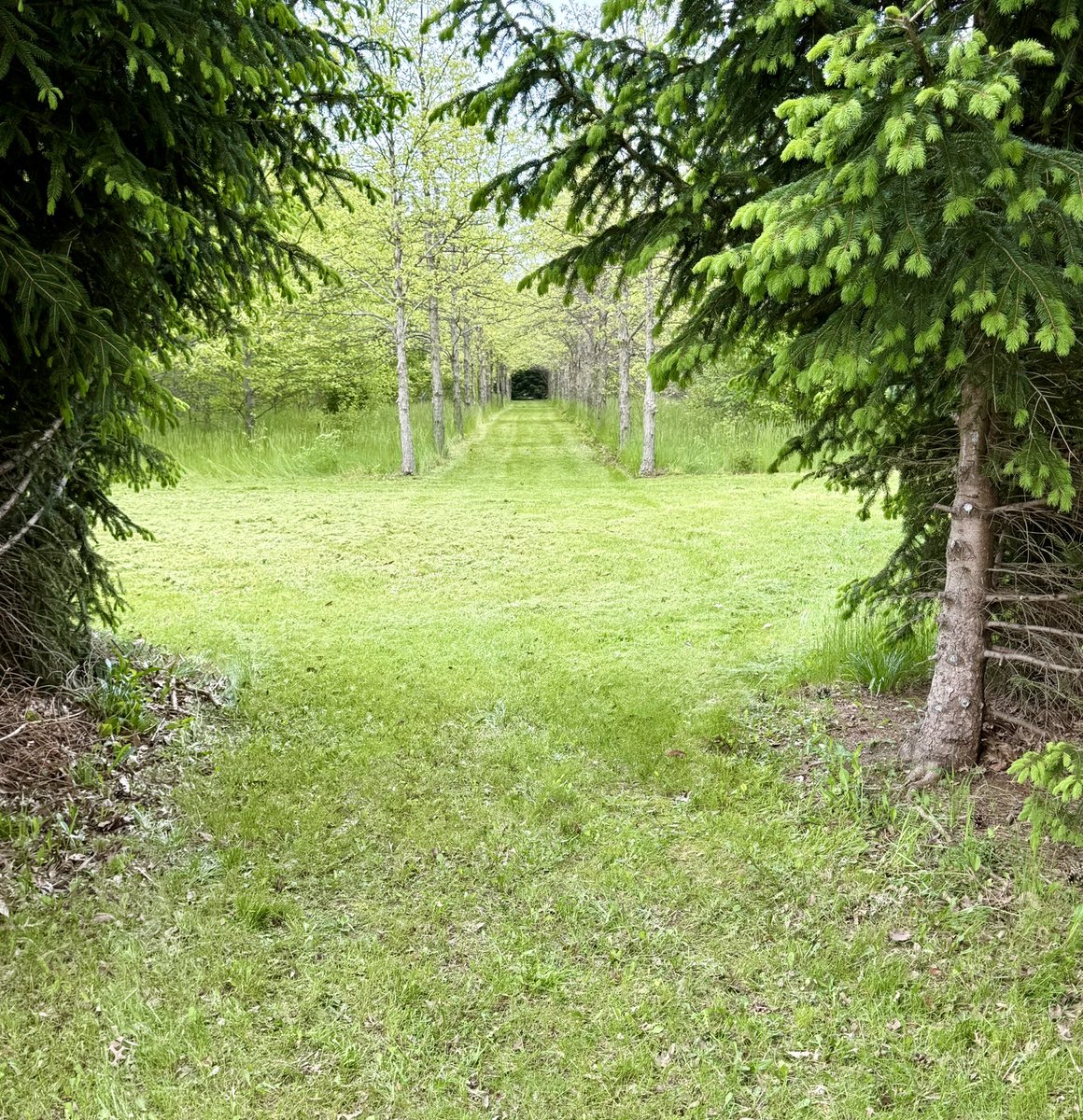 oldjedicz's tweet image. The crew has been out mowing the trails in the 10 acre wood. 80% done, still more projects to do and clearing unwanted growth.