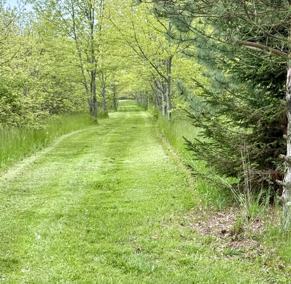 oldjedicz's tweet image. The crew has been out mowing the trails in the 10 acre wood. 80% done, still more projects to do and clearing unwanted growth.