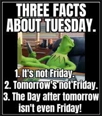Happy Tuesday friends 
<a href="/CarlosSand3543/">Carlos</a>
<a href="/samiam5_/">Serenitee♡Sam</a>
<a href="/StevenWate91203/">Tesla Dude</a>
<a href="/I_M_Ganondorf/">Legend of Ganon</a>
<a href="/MLimpact0804/">Maureen Lopez</a>
<a href="/DapperPenguin01/">Dapper Penguin</a>
<a href="/SteveSample22/">Steve Sample</a> 
@RWBMAN2025
<a href="/hermonicka/">☾ Hᴇʀ ✵ 瑶 ✵ Mᴏɴɪᴄᴀ ☽</a> 
<a href="/natter1963/">Tom Go</a>
<a href="/CharlesAmulek/">Charles Davis</a>
<a href="/Health93104487/">Conservative 🇺🇸🇺🇸</a>
<a href="/TheCGarner/">RaG</a>
<a href="/derailedgamer/">Derailed MAGA Deagerman "Ken"</a>
<a href="/6thgentexan/">Just Joan</a>
<a href="/threepatriots/">Three Patriots</a>
<a href="/BredsguardDalen/">🇺🇸🇺🇸DADA🇺🇲🇺🇲</a>
<a href="/Steve09812/">Steve Clemans</a>
