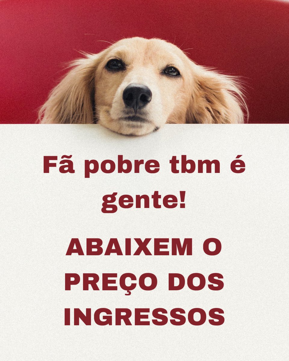 Babiela 🏁 (@babiela44) on Twitter photo 