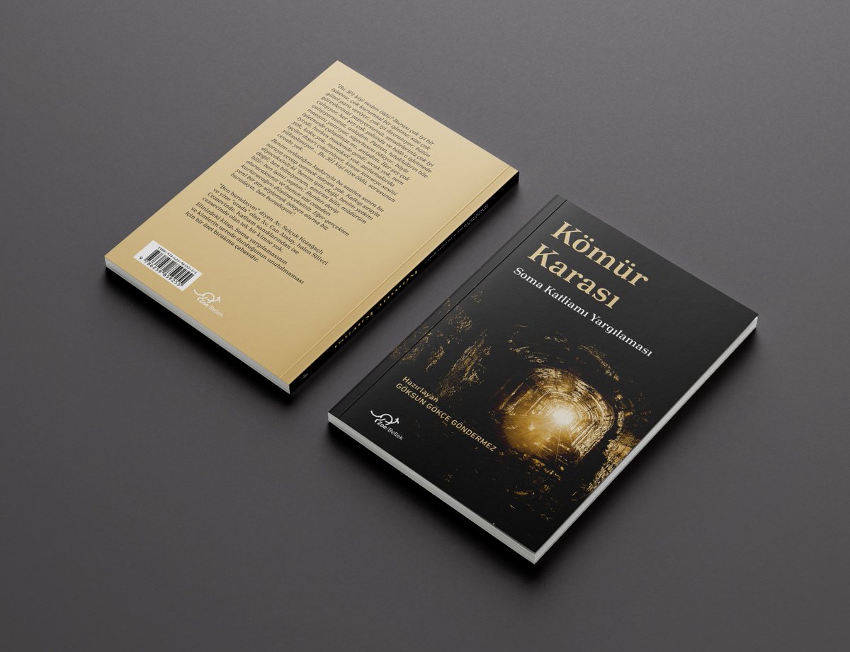 “Bu 301 kişi neden öldü? Burası çok iyi bir işletme, çok kurumsal bir işletme; size çok güzel para veriyor, çok iyi davranıyor; bütün görevlerinizi yapıyorsunuz, sensörleriniz çok iyi çalışıyor, her şey çok yolunda ve hâlâ o işletmede çalışıyorsunuz, anladım. Patron, tutukluların