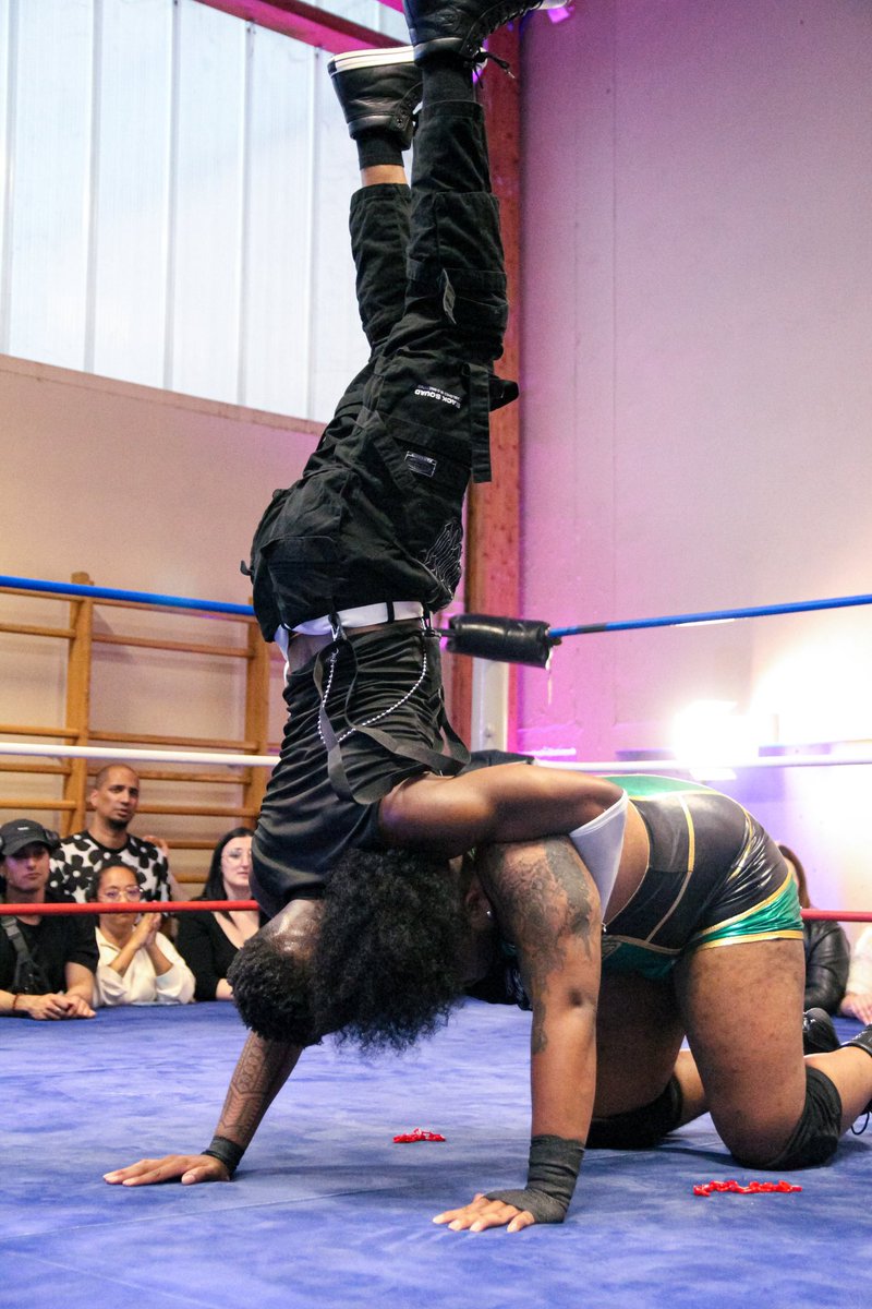 ApcEvolution's tweet image. 🟧 APC Evolution XIII 🟪
Troisième match opposant deux membres des deux factions les plus dominantes de l’APC.
Victoire de @big_dawg_mecca 🤼♀️