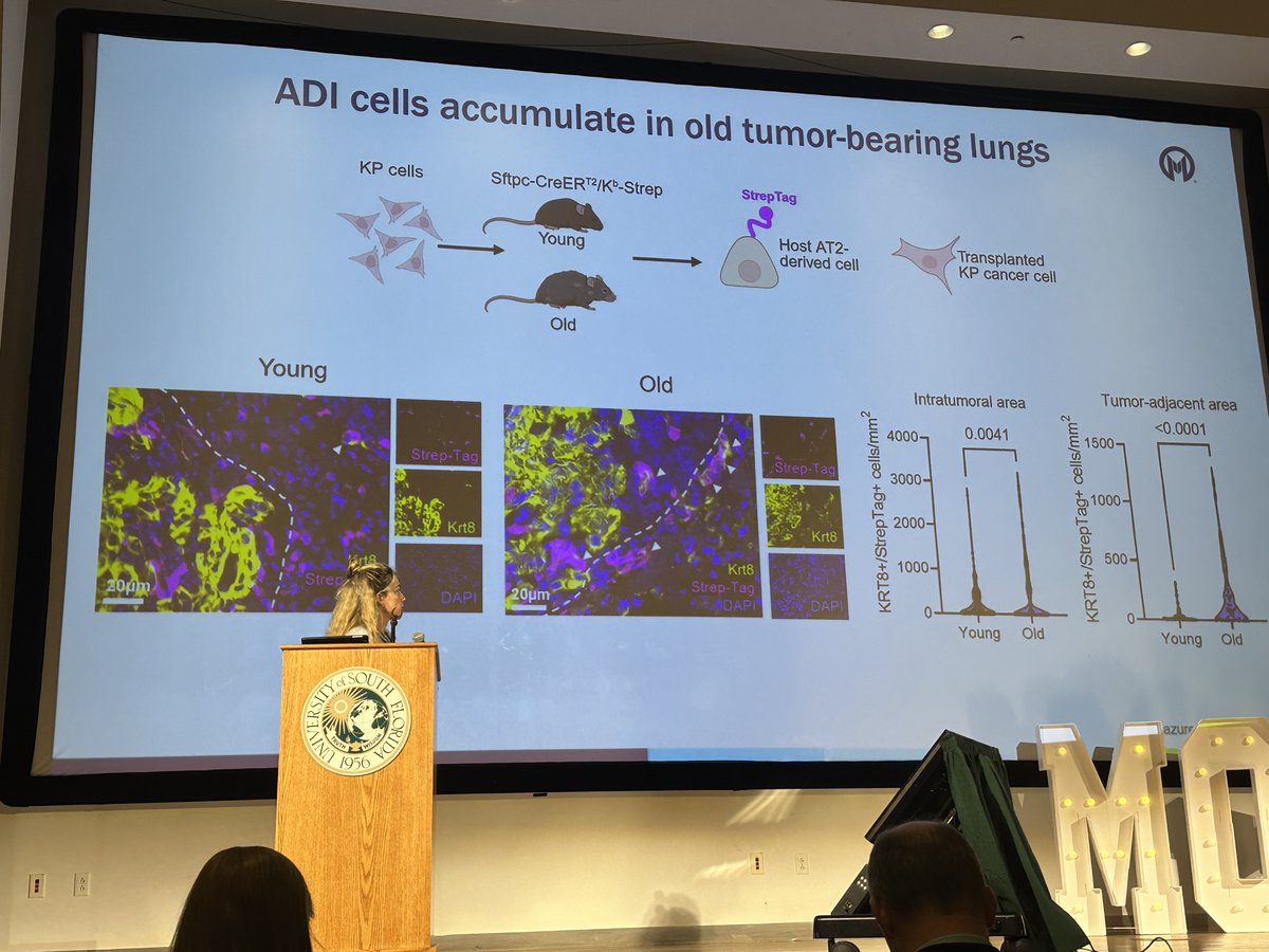 Felicia Lazure, PhD (<a href="/lab_gomes/">Gomes Lab</a>), presents on how aging influences the evolution of KRAS-driven lung adenocarcinoma, pushing tumors toward a more primitive, stem-like state at #MoffittScientificSymposium.
🔑 Key Findings:
📍Aging shifts tumor behavior: Older lung environments