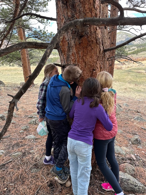 Lyons Elementary tweet media