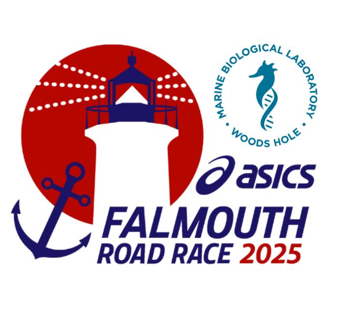 Marine Biological Laboratory (MBL) (@mblscience) on Twitter photo For this year’s ASICS Falmouth Road Race, raise funds for research and education and secure your spot on the start line at the same time. Run for the MBL team!
Email roadrace@mbl.edu to sign up! For this year’s ASICS Falmouth Road Race, raise funds for research and education and secure your spot on the start line at the same time. Run for the MBL team!
Email roadrace@mbl.edu to sign up!