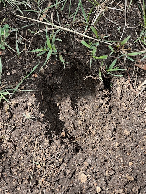 Lyons Elementary tweet media