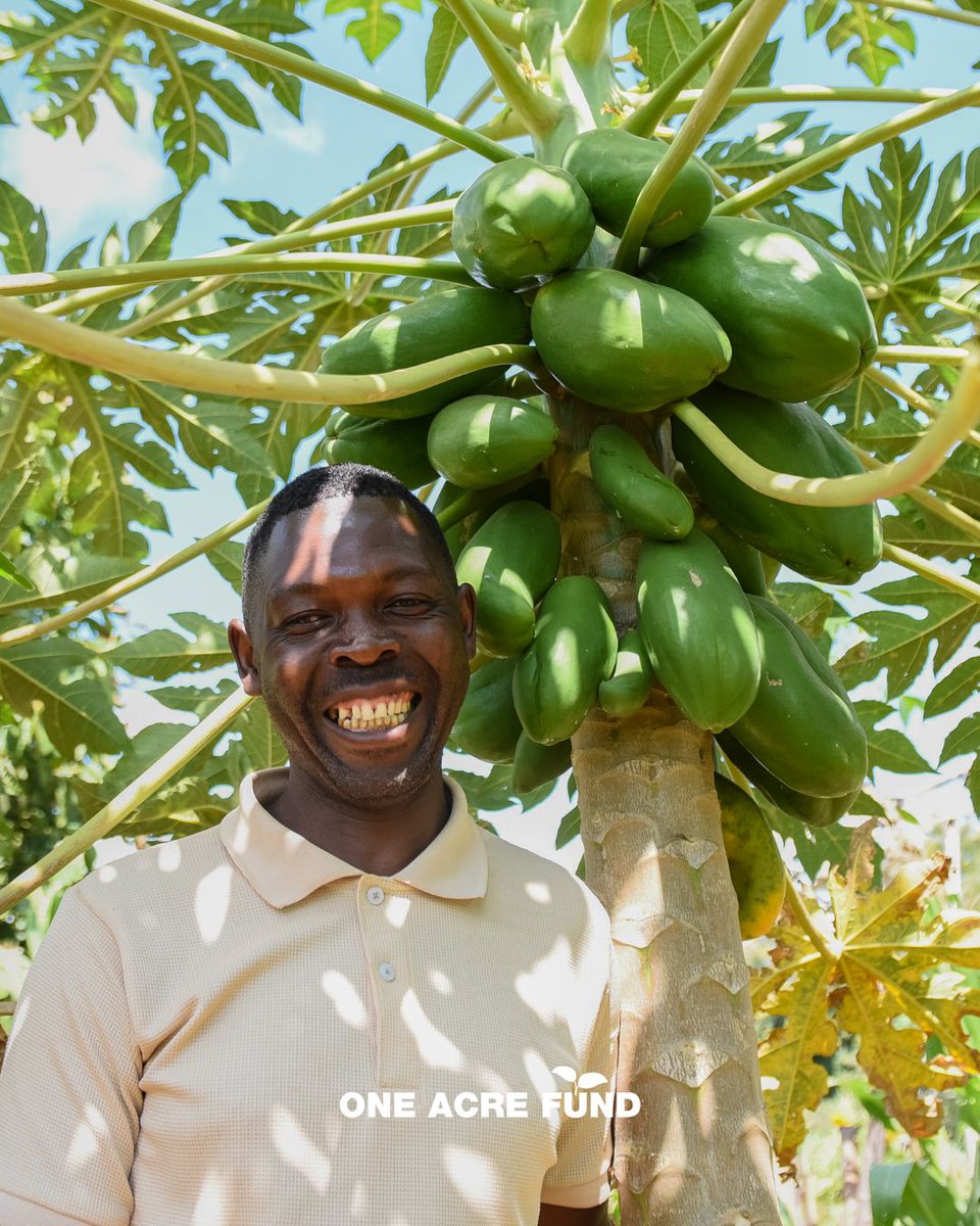 🍋 In Ilambilole village, Tanzania, fruit trees are helping Emanuely build a better future for his family.

He’s now planting seedlings, and plans to open a small shop to sell his fresh produce.

Support farmers like Emanuely: bit.ly/4lcdEh9
#GiveALittleGrowALot