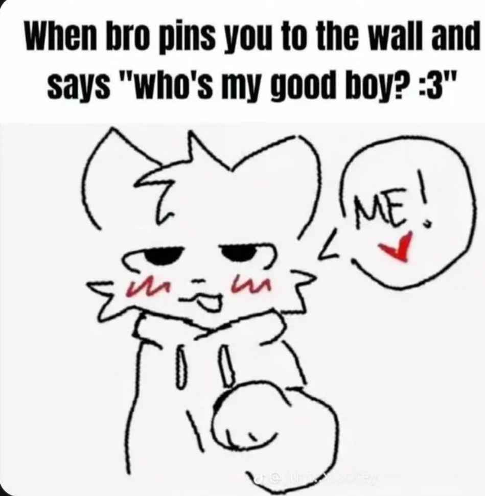 eepyfemboi's tweet image. &amp;gt;~&amp;lt;