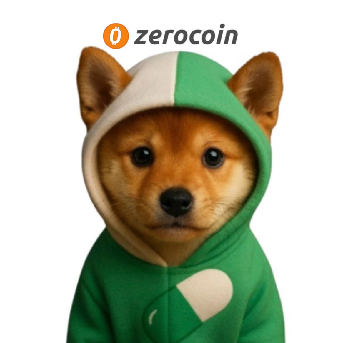 zerocoinsolana's tweet photo. pumpdog? more like zerodog 

00000000000000000 https://t.co/jWIEqisSzo