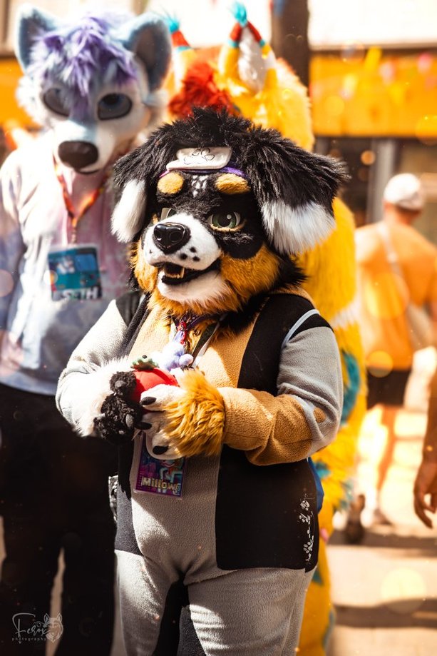 Millow95 (@ronjaf_millow) on Twitter photo Fursuitwalk Darmstadt 03/05/2025 Photo by <a href="/xferoxy/">Ferox ✨ 🔜 EAST</a> thank you very much ^-^ it was a nice day🥰 Fursuitwalk Darmstadt 03/05/2025 Photo by <a href="/xferoxy/">Ferox ✨ 🔜 EAST</a> thank you very much ^-^ it was a nice day🥰
