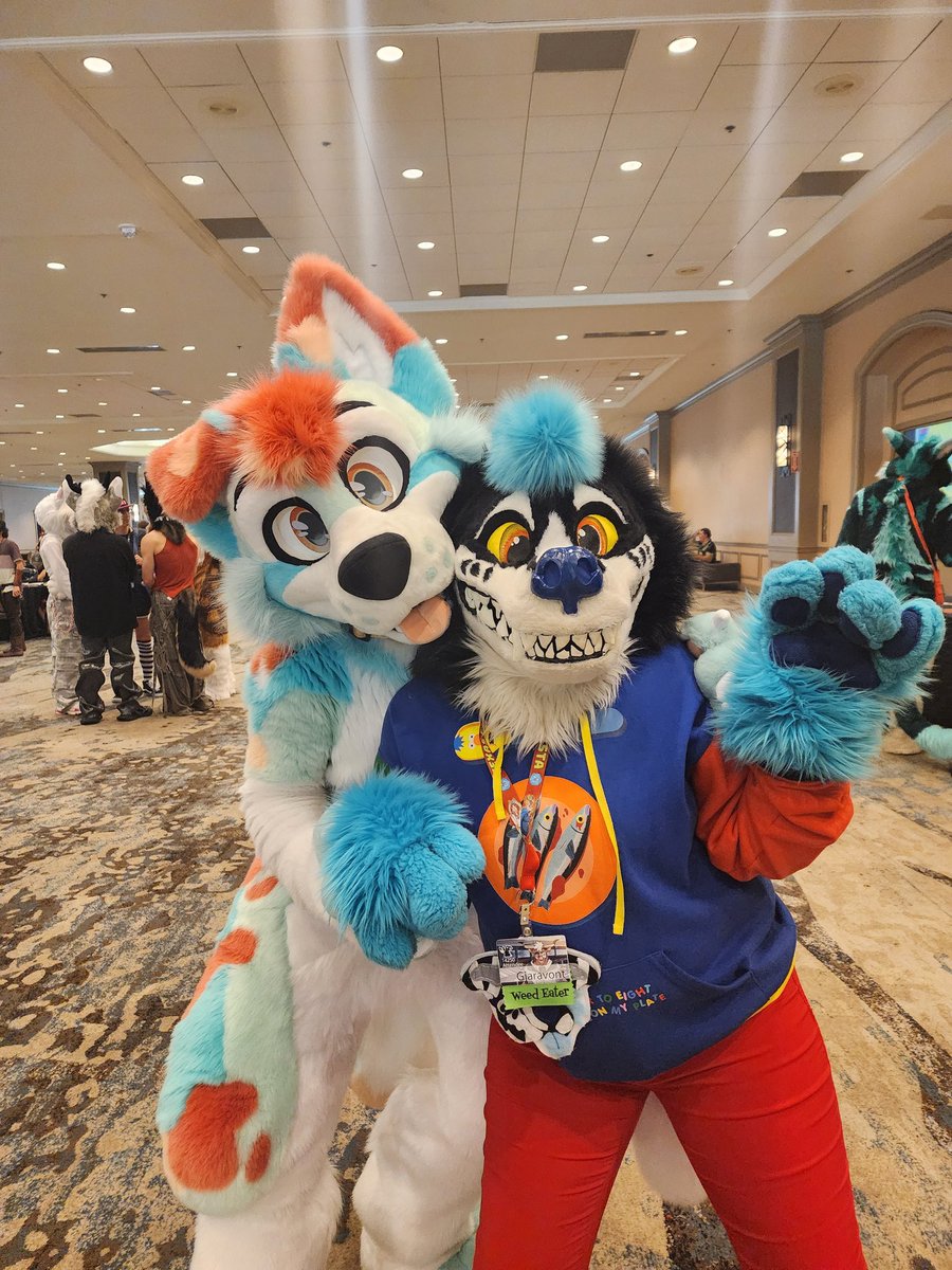 Have no new sfw art to post so have some two dogs instead!