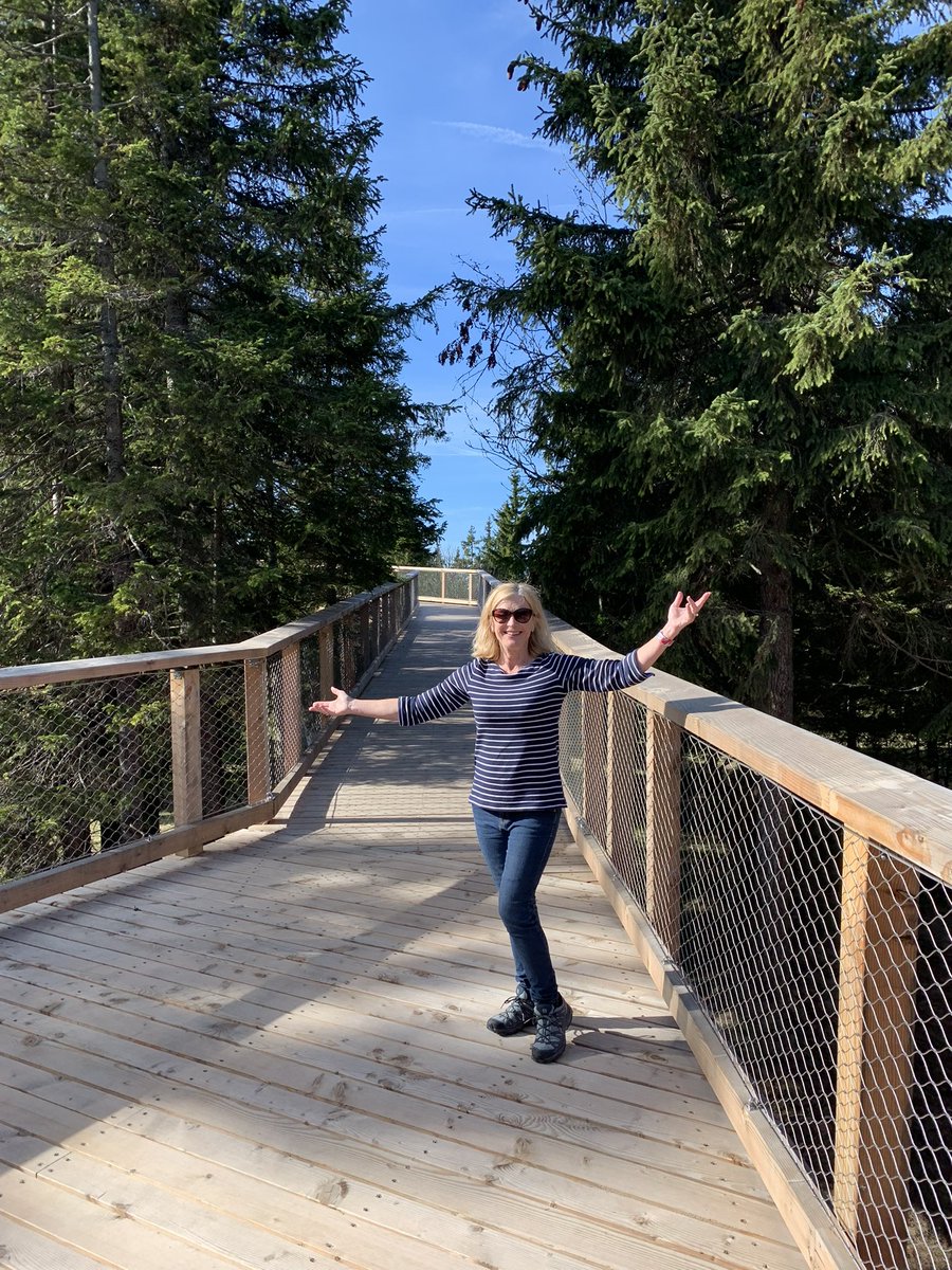 A4 #TRLT Slovenia’s treetop walk is a modern way to enjoy a walk in the woods, accessible to all ages and abilities. <a href="/TheTravelCamel/">Shane Dallas</a> <a href="/LindaPeters64/">Linda</a> <a href="/t_jh2009/">TimH</a>