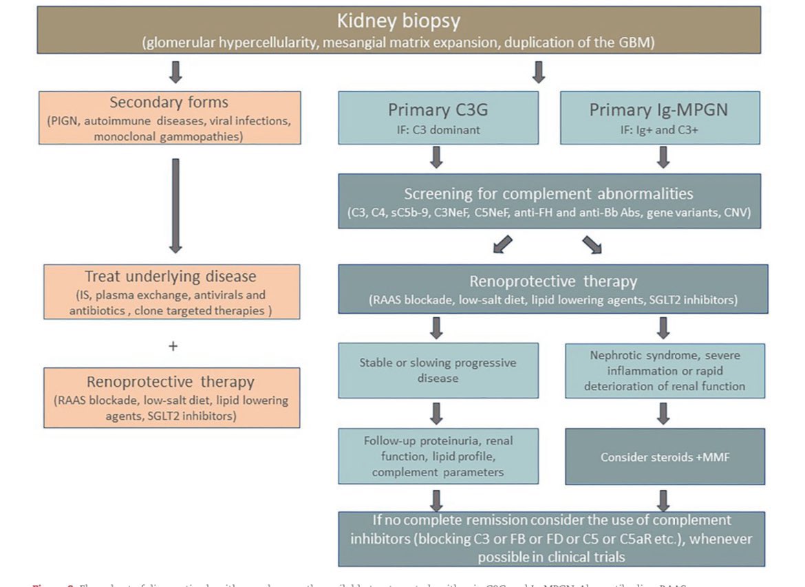 🔥Approach to MPGN on kidney biopsy 

🙇‍♀️Rule out secondary causes

1️⃣Post infectious GN

2️⃣Autoimmune Ds

3️⃣Infections-endocarditis/HBV/HCV/HIV/abscess

4️⃣Monoclonal Gammopathy 

<a href="/NDTsocial/">NDT</a> <a href="/hjanders_hans/">Hans-Joachim Anders</a> 

doi.org/10.1093/ndt/gf…