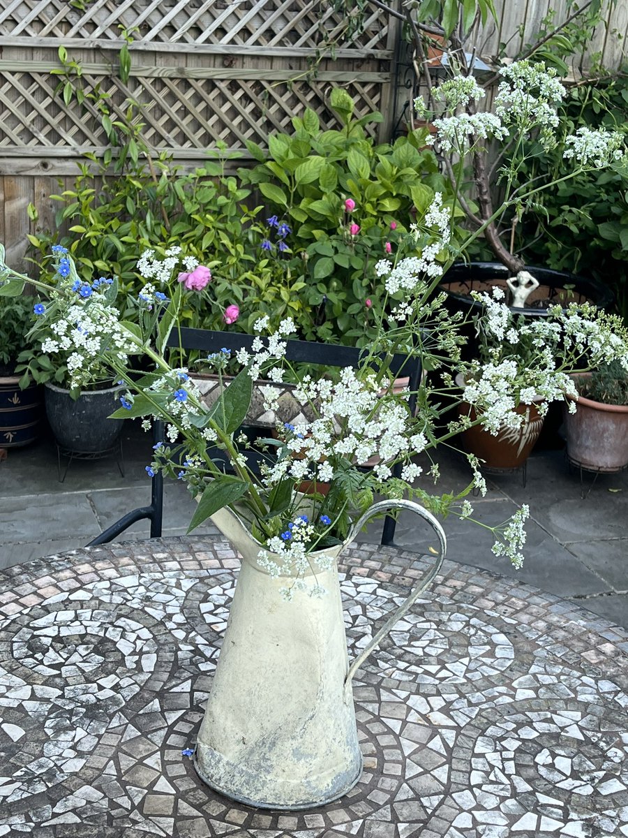 Beauty can be very simple . A battered old container and a simple spray of wild cow parsley and (dreaded)alkanet
#whatsinmyvase