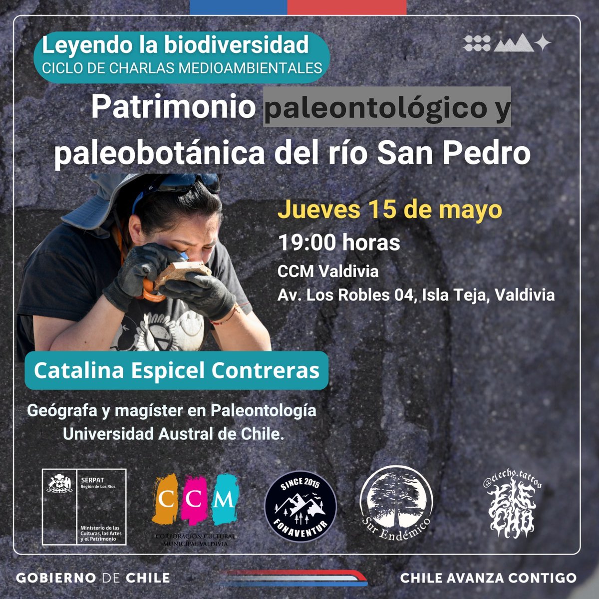 Red Bibliotecas Públicas Los Ríos tweet media