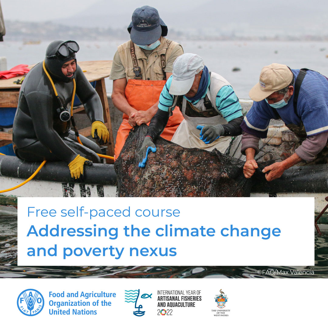 🎓 FREE online course!

🌍Addressing the climate change and poverty nexus
 
Learn how these global challenges connect — and what you can do about it.

Start learning now! ➡️ow.ly/iGpr50VAn8T