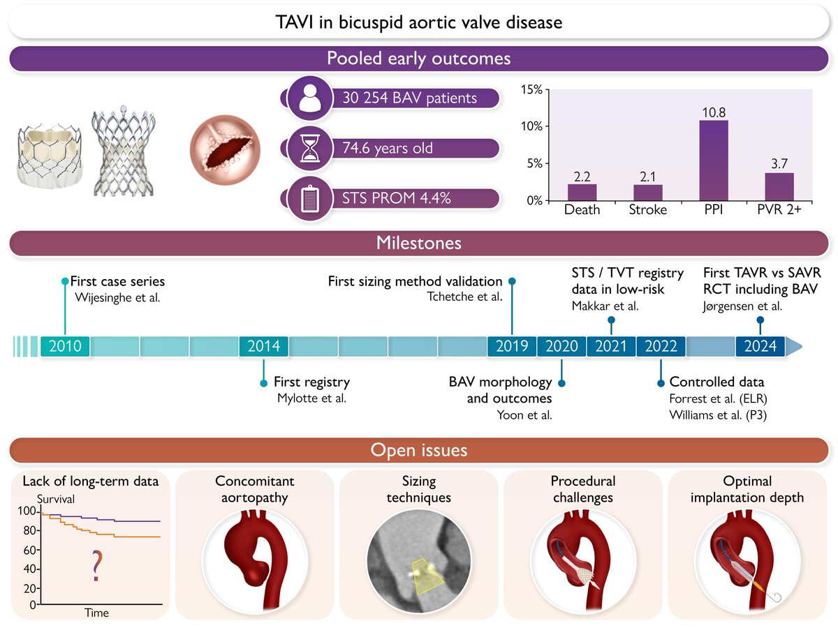 EHJ Editor-in-Chief (@ehj_ed) on Twitter photo From anatomical hurdles to next-generation valve designs, TAVI is breaking boundaries in bicuspid aortic valve disease. Read more in #EHJ.
doi.org/10.1093/eurhea…
#bicuspid #TAVI #TAVR <a href="/barbanti_marco/">Marco Barbanti</a> #cardiotwitter <a href="/ESC_Journals/">European Society of Cardiology Journals</a> <a href="/escardio/">European Society of Cardiology</a> From anatomical hurdles to next-generation valve designs, TAVI is breaking boundaries in bicuspid aortic valve disease. Read more in #EHJ.
doi.org/10.1093/eurhea…
#bicuspid #TAVI #TAVR <a href="/barbanti_marco/">Marco Barbanti</a> #cardiotwitter <a href="/ESC_Journals/">European Society of Cardiology Journals</a> <a href="/escardio/">European Society of Cardiology</a>