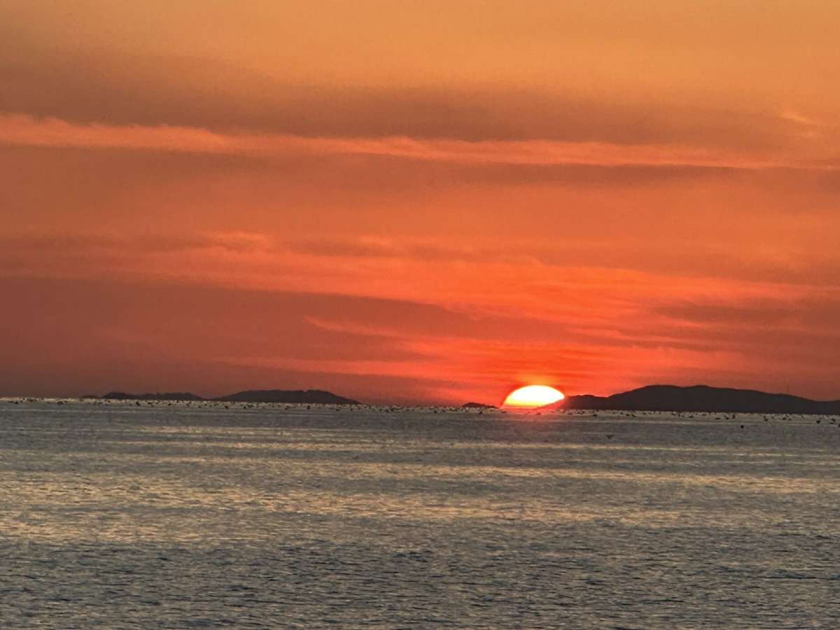 붉은 해는 떠오르라고만 있나…
아니면 떨어져 지라고만 있나…
알고보면 똑같은 모습인듯
우리의 하루도 .. 삶도.. 똑같은것
지금이 가장 소중한것!