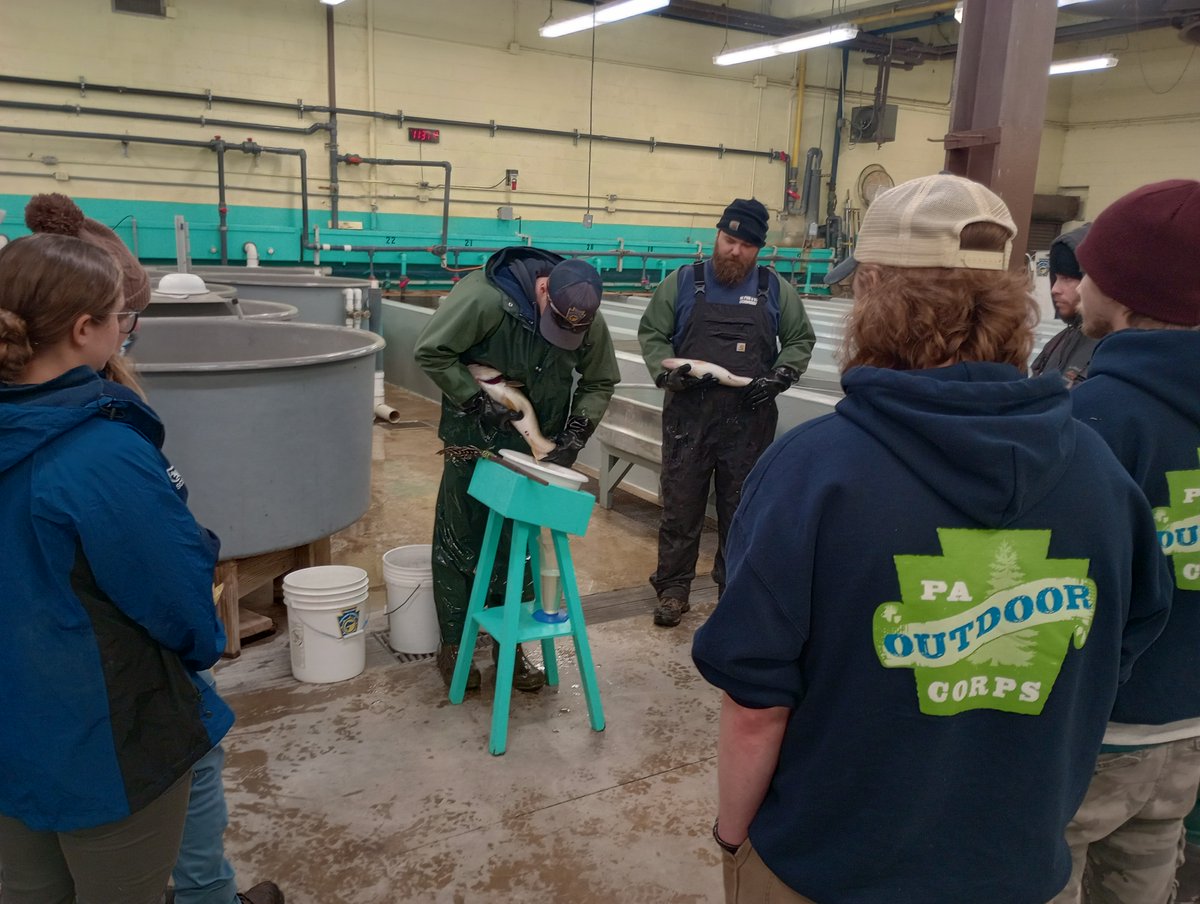 PA Department of Conservation & Natural Resources tweet media